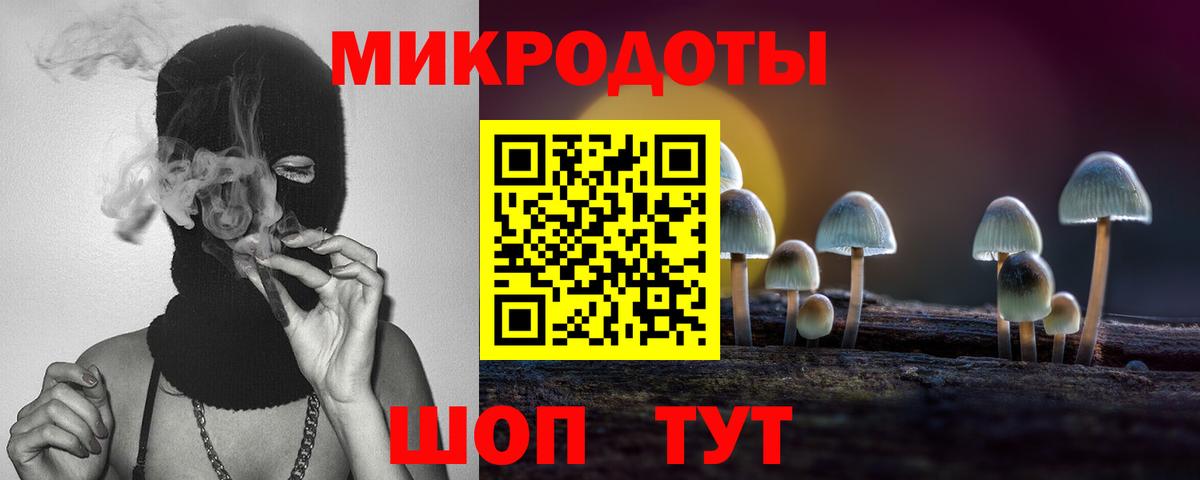 Тамбов  Галлюциногенные грибы MAGIC MUSHROOMS  Галлюциногенные грибы Psilocybine cubensis  Вход с VPN 